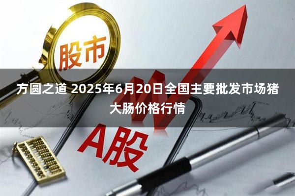 方圆之道 2025年6月20日全国主要批发市场猪大肠价格行情