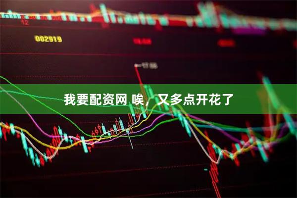我要配资网 唉，又多点开花了